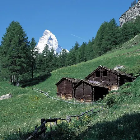 Apartment Brigitte By Interhome * Zermatt